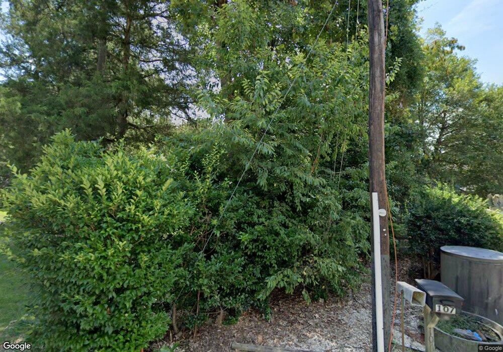 103 Purgatory Point, Chapin, SC 29036 - photo 1