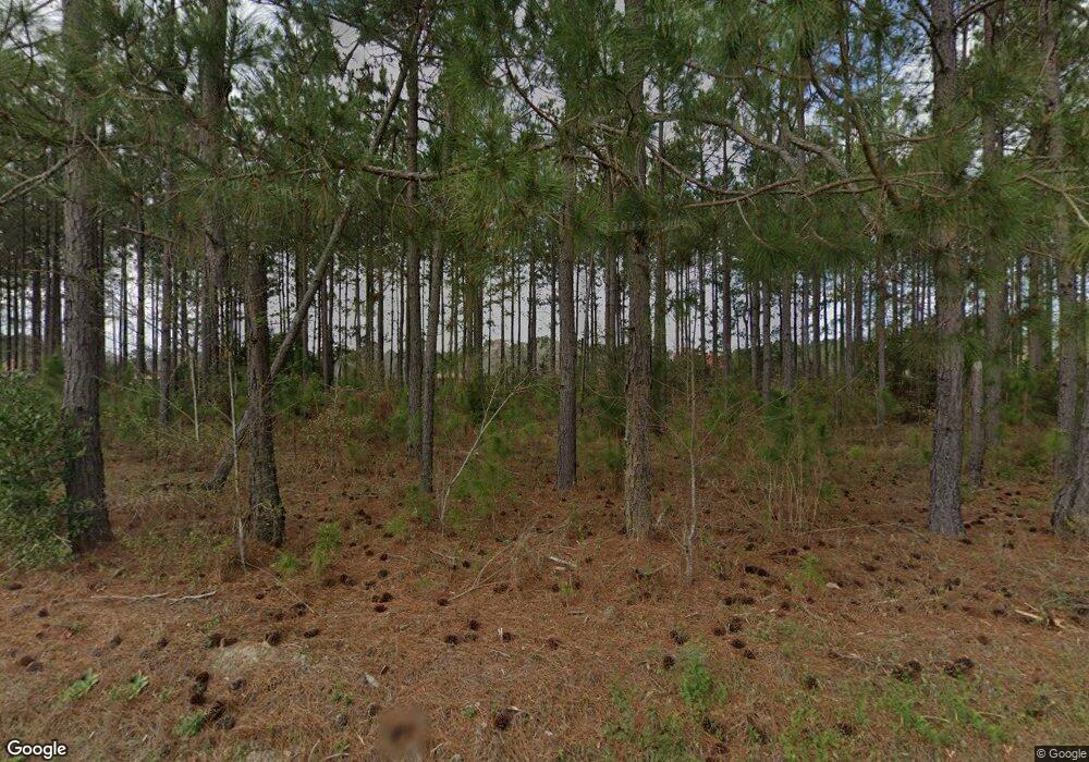 203 Brady Rd, Cordele, GA 31015 - photo 1