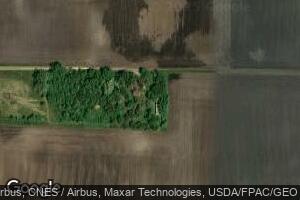 80066 400th St, Bird Island, MN 55310