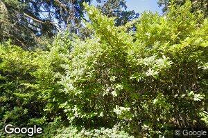 2598 Cresta de Ruta St, Eugene, OR 97403