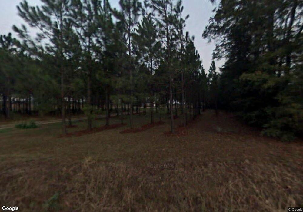 1713 Pine Level Rd, Cairo, GA 39827 - photo 1