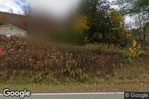173 Chestnut St, Cross Fork, PA 17729