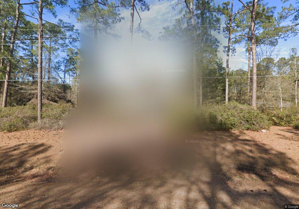 817 Us Highway 280, Claxton, GA 30417 - photo 1