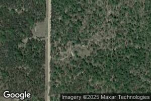 7138 S Nelson Rd, Chase, MI 49623