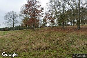 44 County Road 162, Louin, MS 39338
