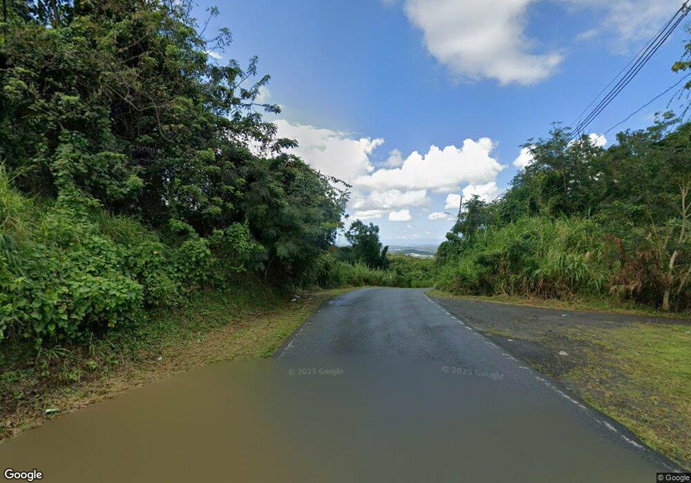 LOT #1 Pr 957 Rd, Canovanas, PR 00729 - photo 1