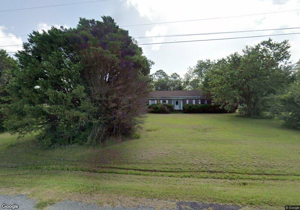 203 Beagle Blvd, Alma, GA 31510 - photo 1