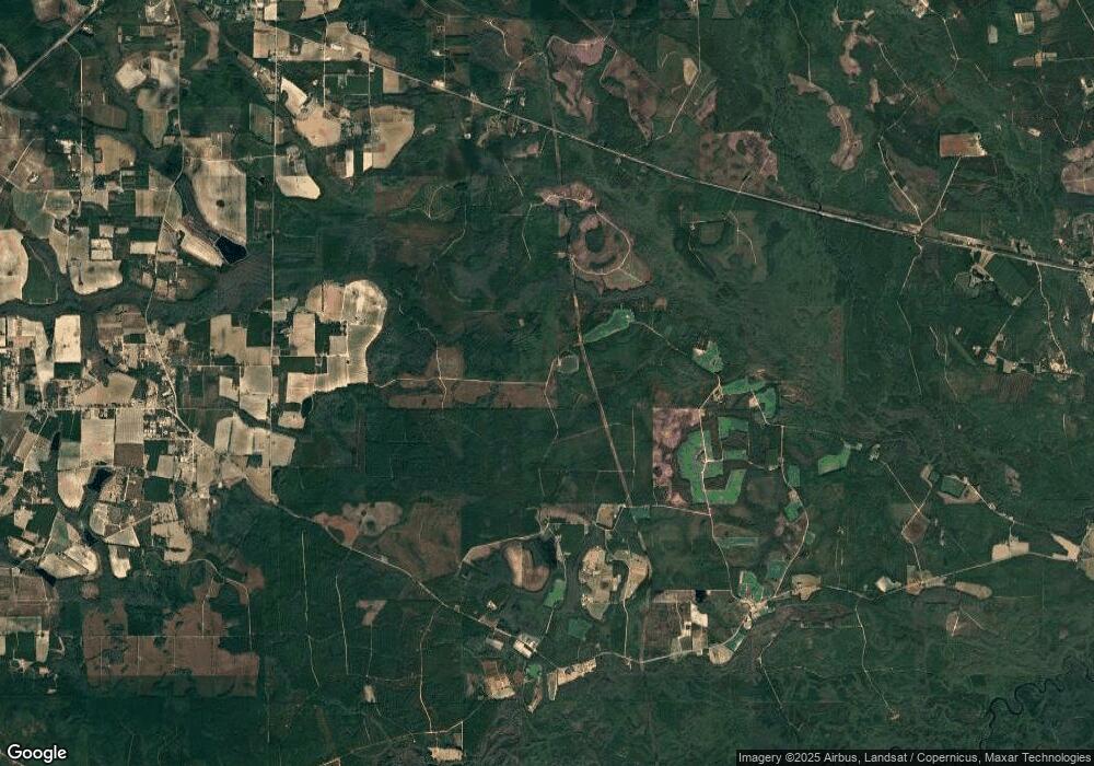 0 Cross Swamp Rd unit 7483116, Patterson, GA 31557 - photo 1