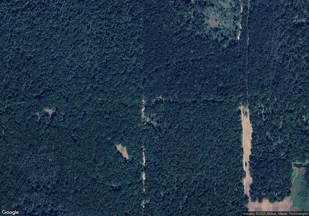 10388 N Centerline Rd, Bitely, MI 49309 - photo 1