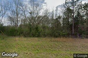 31347 Rose Hill Rd, Dozier, AL 36028
