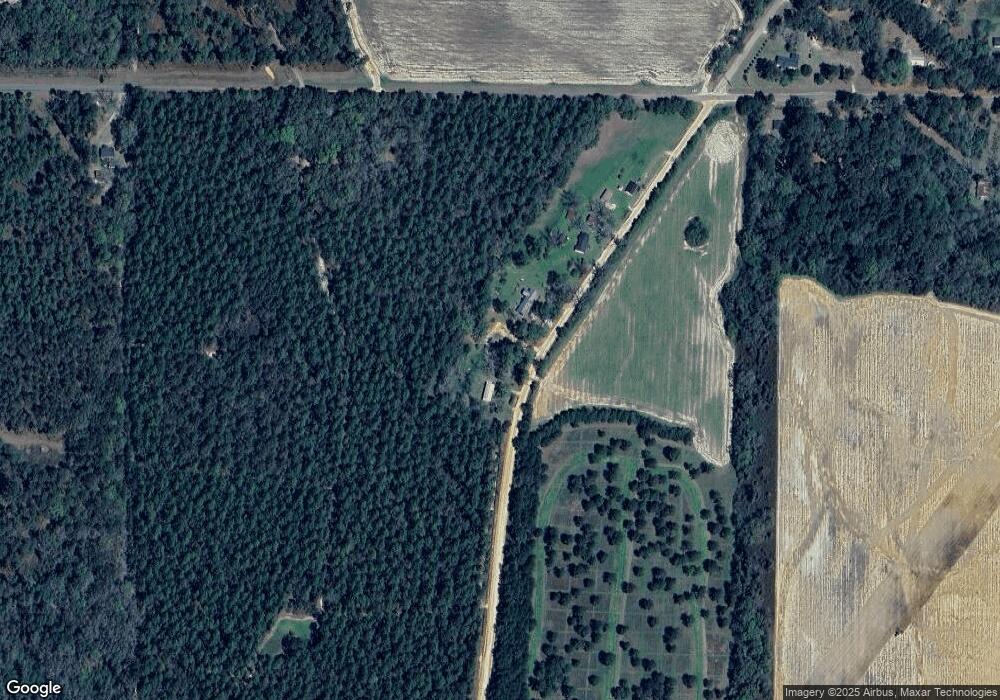 2253 Old Thomasville Rd, Pelham, GA 31779 - photo 1