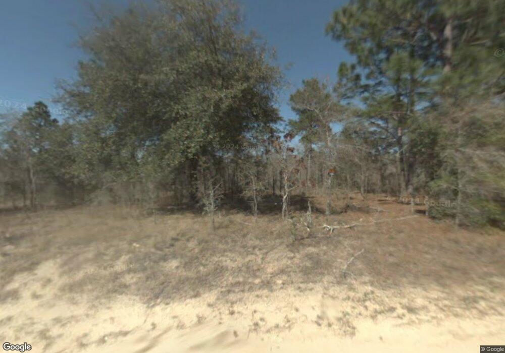 409 E Pilar Nicholas St, Hernando, FL 34442 - photo 1