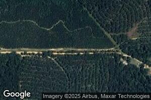 232 Hodges Riley Rd, Attapulgus, GA 39815