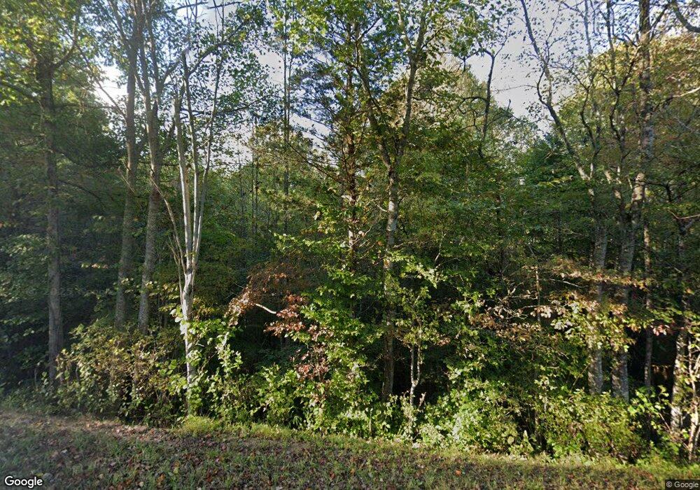 1355 Salem Rd, Mineral Bluff, GA 30559 - photo 1