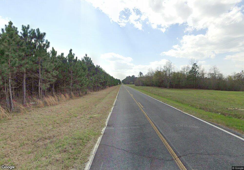 414 Goldsboro Rebie Rd, Chester, GA 31012 - photo 1