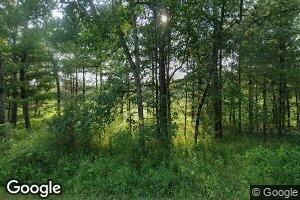 3551 S Forman Rd, Baldwin, MI 49304