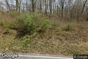 20 Wadestown Pike, Burton, WV 26562