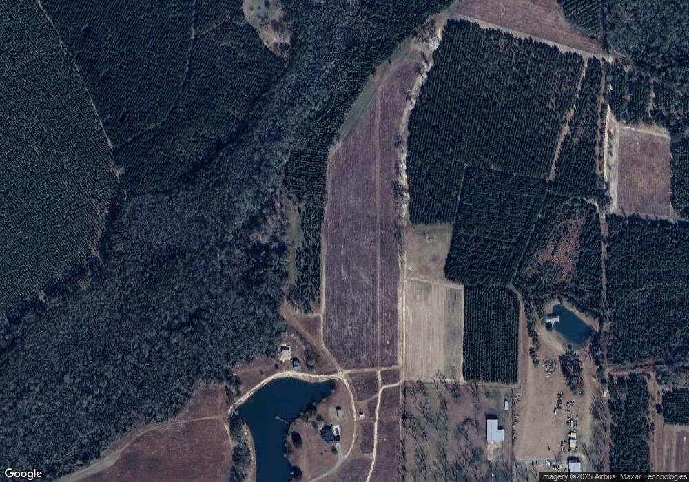 4454 Molly Branch Rd, Blackshear, GA 31516 - photo 1