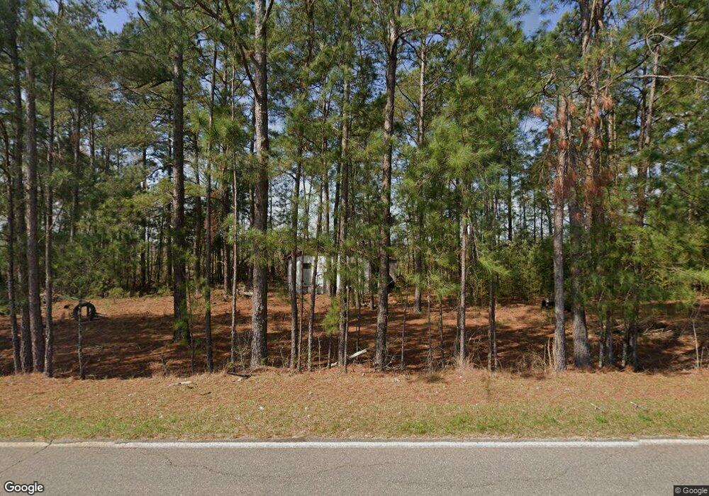 2437 N Union Rd, Lenox, GA 31637 - photo 1