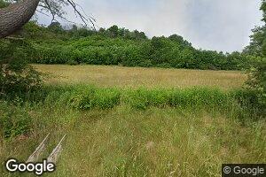 1454 Ellisburg Rd, Genesee, PA 16923