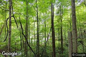 309 Grannys Branch Rd, New Castle, VA 24127