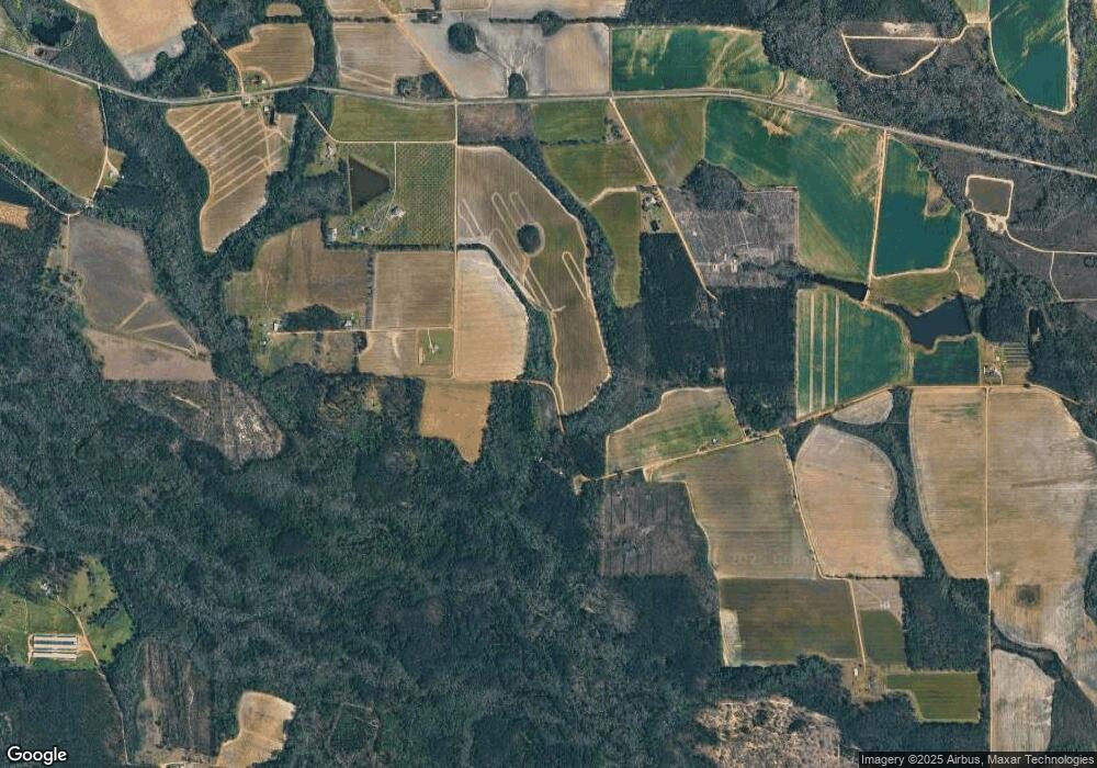 0 Moody Cemetery Rd unit 3278632, Surrency, GA 31563 - photo 1