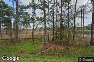 1123 Crosland Lenox Rd, Lenox, GA 31637