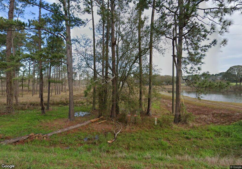 1123 Crosland Lenox Rd, Lenox, GA 31637 - photo 1