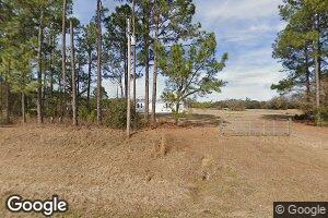 17153 Damascus Hilton Rd, Damascus, GA 39841