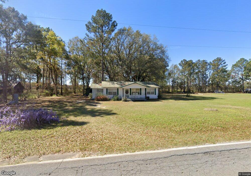 3080 Judge Lott Rd, Lenox, GA 31637 - photo 1