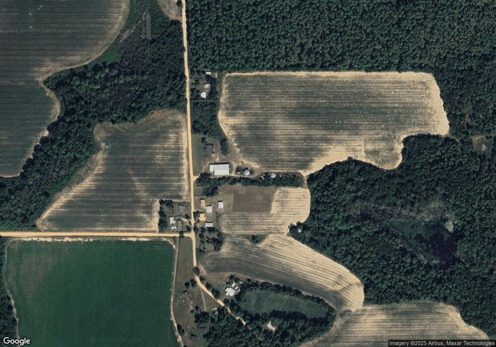 161 Jw Wingate Rd, Doerun, GA 31744 - photo 1