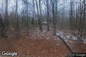 4444 Curtisville Rd, South Branch, MI 48761
