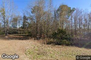 3111 Mount Vernon Alston Rd, Ailey, GA 30410