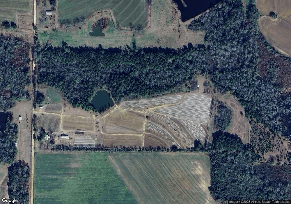 176 Humphries Rd, Pelham, GA 31779 - photo 1