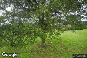 685 Hazy Downs Rd, Raywick, KY 40060