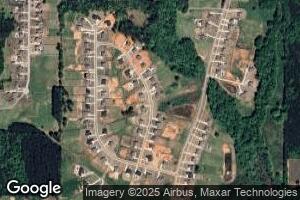 0 Township Dr Unit LOT 91 8975636, Senoia, GA 30276