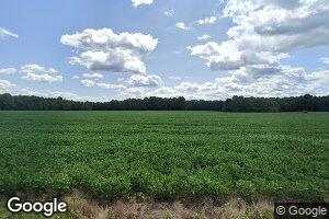 4141 Lloyds Rd, Champlain, VA 22438