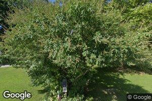 996 County Road 703, Cotter, AR 72626