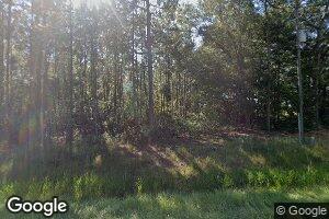 0 Beards Bluff Rd, Odum, GA 31555