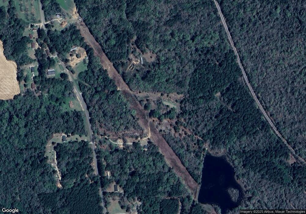 4132 Pear Ln, Pelham, GA 31779 - photo 1