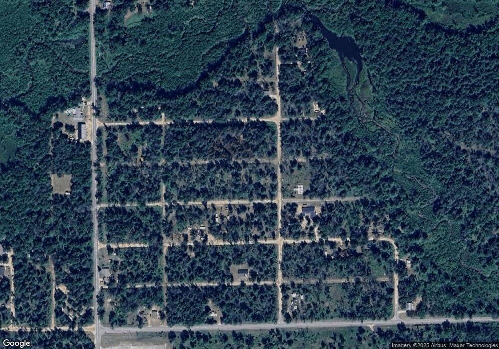 177 E Buchannan St, Idlewild, MI 49642 - photo 1