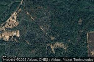 35 Jim Brown Rd, Millry, AL 36558
