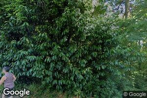 161 Furnace St Unit 9 B2A, Lake Oswego, OR 97034