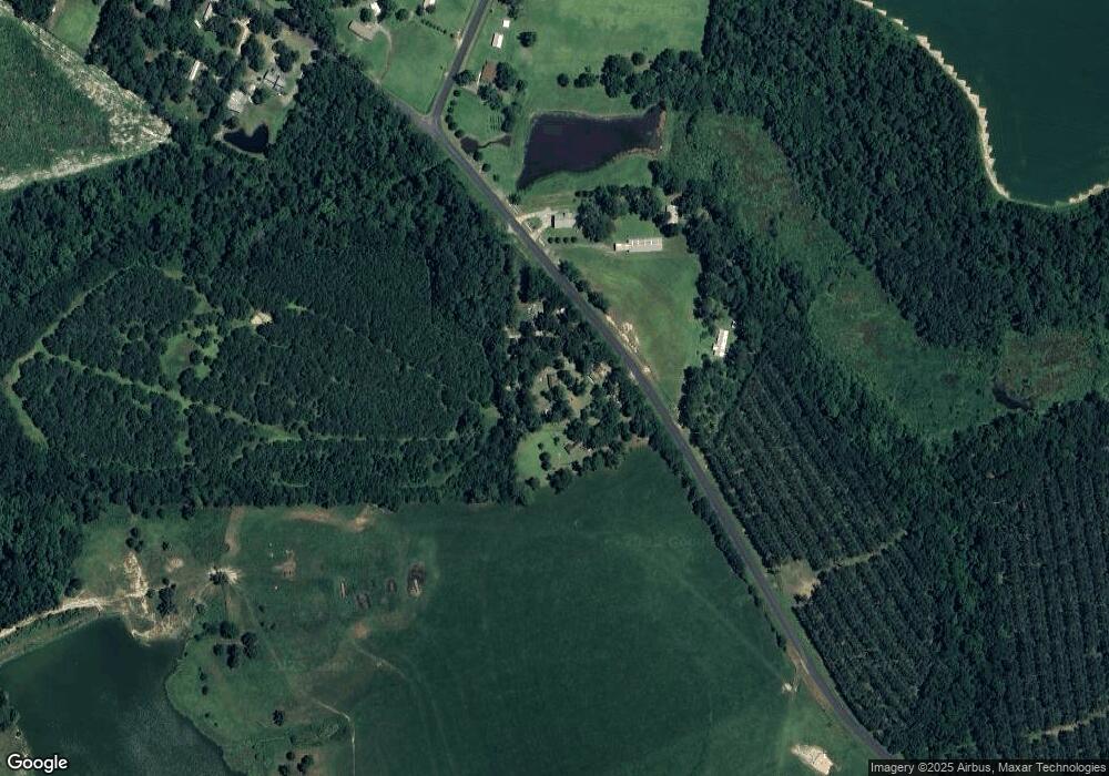 000 Fulgeon Rd, Climax, GA 39834 - photo 1