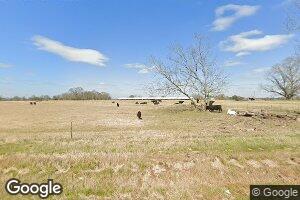 7080 County Road 105, Brundidge, AL 36010