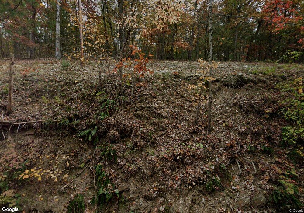 2162 Potomac Rd, Berkeley Springs, WV 25411 - photo 1