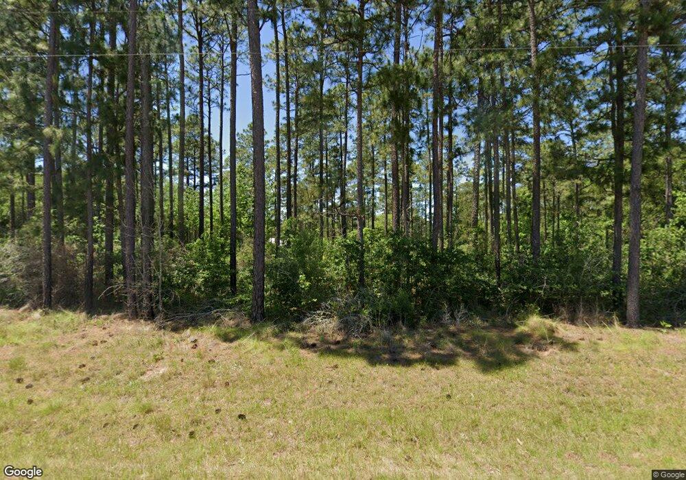 941 Bustle Rd, Coolidge, GA 31738 - photo 1