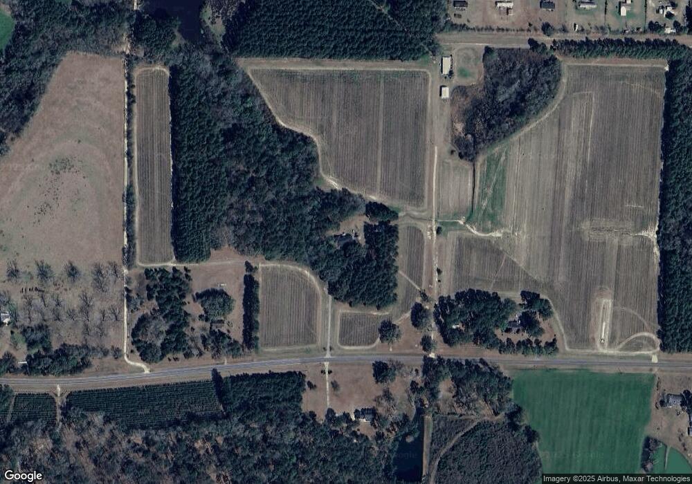 2135 Pine Park Rd, Cairo, GA 39828 - photo 1