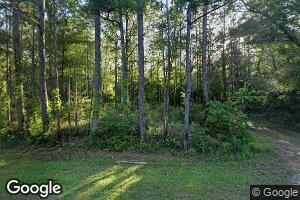 2327 Carpenter Rd, Millry, AL 36558