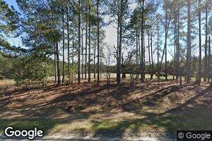 3212 Canoochee Garfield Rd, Garfield, GA 30425